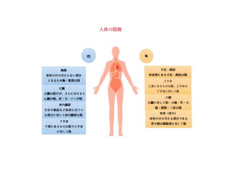 左陽右陰